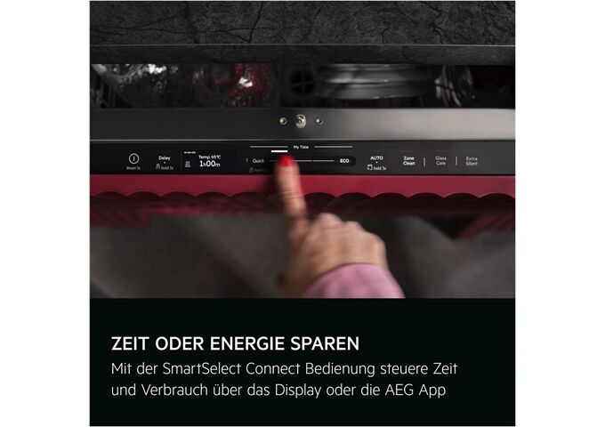 AEG Favorit GI8200A2SF VI