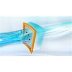 Bosch BGDS2CHAMP Bosch BGDS2CHAMP