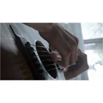  PS4 Last of Us 2/Last of Us 2