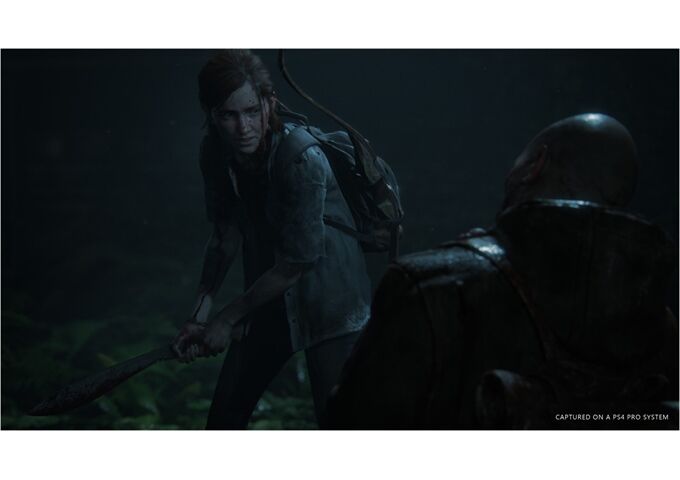  PS4 Last of Us 2/Last of Us 2