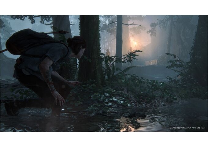  PS4 Last of Us 2/Last of Us 2