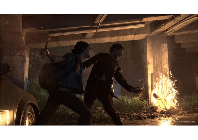  PS4 Last of Us 2/Last of Us 2