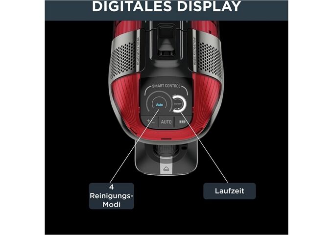 Rowenta RH98A7 X-Force Flex 12.60 Animal silber