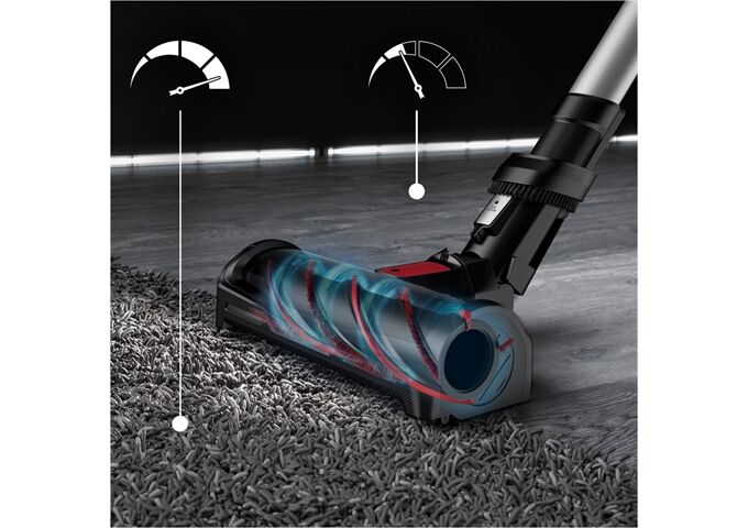 Rowenta RH98A7 X-Force Flex 12.60 Animal silber