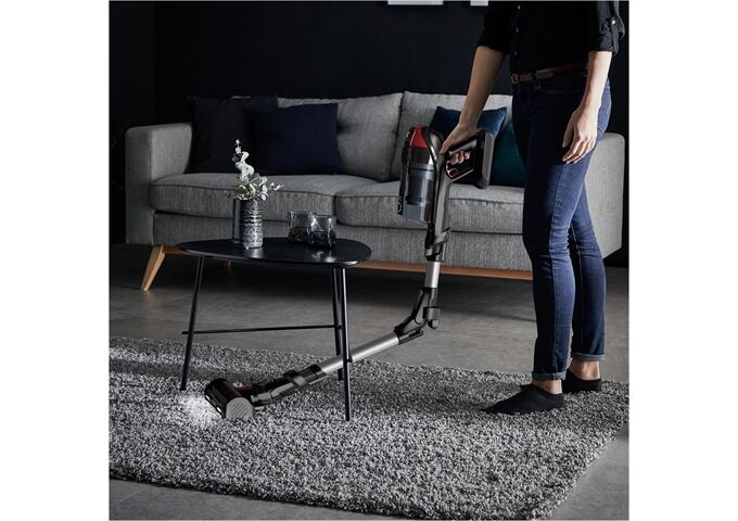 Rowenta RH98A7 X-Force Flex 12.60 Animal silber