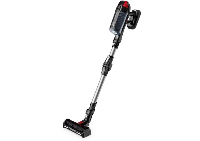 Rowenta RH98A7 X-Force Flex 12.60 Animal silber