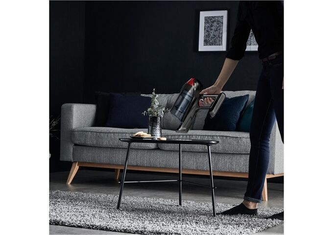 Rowenta RH98A7 X-Force Flex 12.60 Animal silber