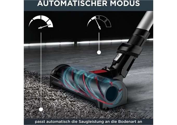 Rowenta RH98A7 X-Force Flex 12.60 Animal silber