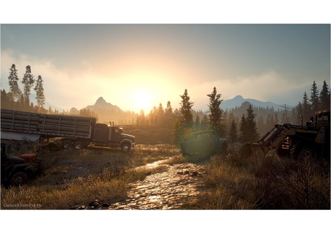  PS4 Days Gone/Days Gone.