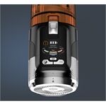 Rowenta XForce Flex 13.60 Anniversary