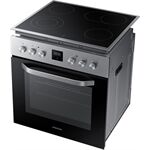 Samsung F-NB69R3300RS Samsung F-NB69R3300RS