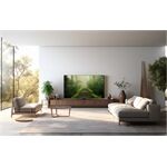 Panasonic TB-65W60AEZ Panasonic TB-65W60AEZ