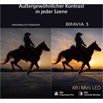 Sony BRAVIA 5 K-75XR55BP